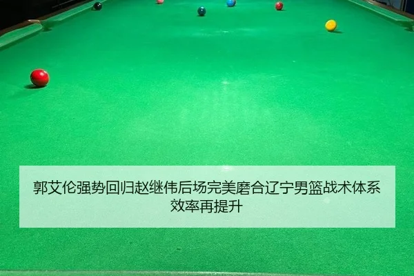 guo-ai-lun-qiang-shi-hui-gui-zhao-ji-wei-hou-chang-wan-mei-mo-he-liao-ning-nan-lan-zhan-shu-ti-xi-xiao-lv-zai-ti-sheng-3-447.jpg