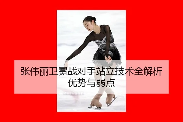 zhang-wei-li-wei-mian-zhan-dui-shou-zhan-li-ji-shu-quan-jie-xi-you-shi-yu-ruo-dian-3-364.jpg